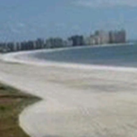 South Seas On The Gulf Aparthotel Marco Island Faciliteiten foto